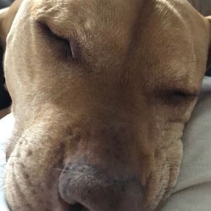 Meet your Posher, Stephen